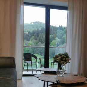 River view deluxe apartment